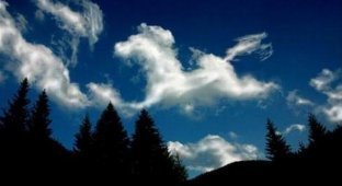 Облака в виде лошадок (17 фото)