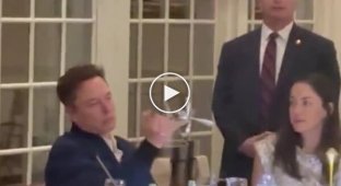 Elon Musk has fun with cutlery during dinner with Donald Trump