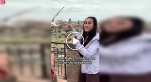 Девушка попыталась взять интервью у чайки