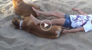 A lesson in politeness for a little girl from a dog