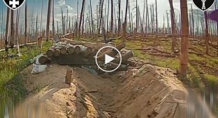 The enemy was left without eyes: in the Limansk direction an elite shelter of enemy pilots was destroyed