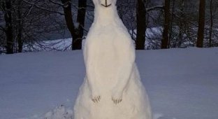 A selection of funny and unusual snowmen (16 photos)