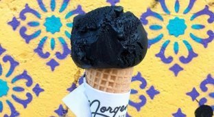 A selection of unusual and strange ice cream recipes (20 photos)
