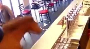 Лошадь зашла в кафетерий