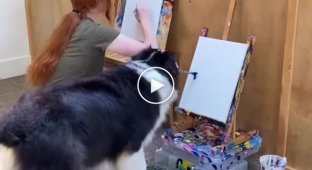 Собака, которая рисует лучше, чем большинство людей