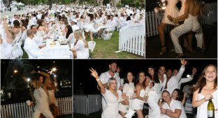 Diner en Blanc: секретный ужин людей в белом прошел в Сиднее (15 фото)