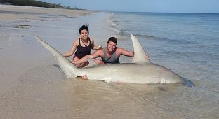 19-летний Макс Маггеридж ловит акул на удочку (11 фото)