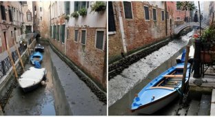 У Венеції пересохли знамениті канали, паралізувавши місто (7 фото + 1 відео)