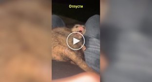 Девушка не в восторге от нового друга ее парня