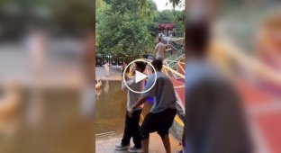 Instant karma for a bad joke