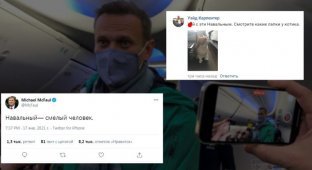 Сел вместо Внуково в СИЗО: реакция соцсетей на возвращение Навального в Россию (21 фото)