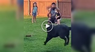 Father wanted to teach children to play with dog