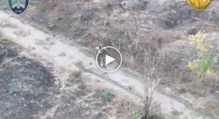 The body of an occupier was torn to shreds by a suicide drone strike in the Pokrovsk direction