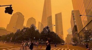 Дым от страшных пожаров в Канаде добрался до Нью-Йорка: там худший день по качеству воздуха (4 фото + 2 видео)