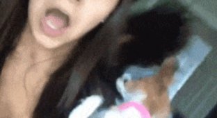 Cool gifs. Issue 2736 (75 gifs)