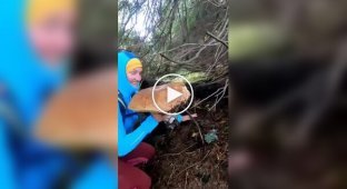 А в Карпатах тоже есть грибы