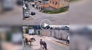 Мужчины похитили груз из движущегося автомобиля