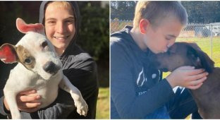 12-річний хлопчик урятував від смерті вже 5 тисяч собак (16 фото)