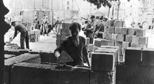 Фотохроника возведения Берлинской стены (24 фото)