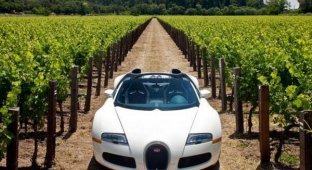 Bugatti Veyron Grand Sport - самый дорогой кабриолет (31 фото)