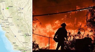 Жертва калифорнийских пожаров поделилась своим горем в сети (11 фото)