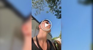 A guy found a singing gate and turned it into a powerful Drum and Bass track & Bass