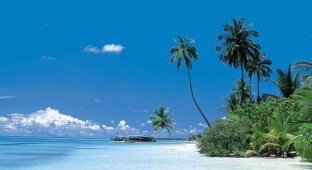 Не райская сторона Мальдив (7 фото)