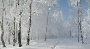 Russian winter (39 photos)