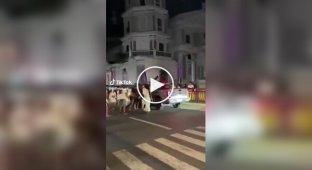 В стиле Брюса Ли: актер в образе Иисуса проучил местного за неуместную выходку