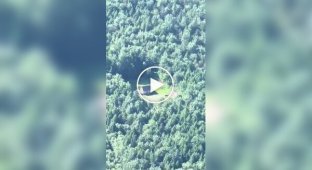 Идеальное жилье для интроверта