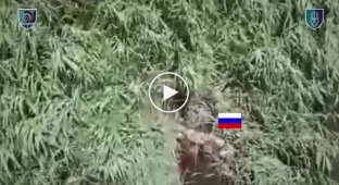 Російський загарбник борсається у річці на Херсонщині після атаки наших захисників