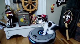 Pirate kitten rides a vacuum cleaner