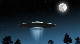Интересная информация и факты про НЛО (11 фото)