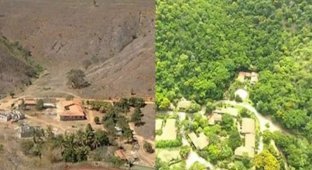 Супруги 20 лет сажали деревья и смогли восстановить целую экосистему (12 фото)