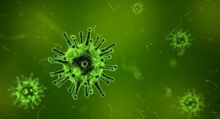 Эксперт считает, что американский грипп-убийца страшнее коронавируса (2 фото)