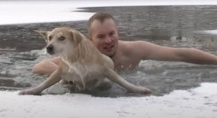 Журналист бросился в ледяную воду и спас собаку из проруби (2 фото + 1 видео)