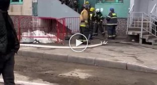 In St. Petersburg, a fire in a brothel claimed the lives of two workers from Uzbekistan