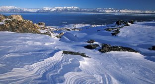 Арктика... замечательные фото (119 фото)