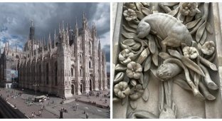 “Dinosaur” of the Milan Cathedral: a mysterious creature on the walls of the Duomo (7 photos)