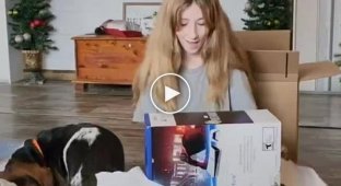 Девочке на Рождество подарили PlayStation 5. Ее пес подарок не оценил