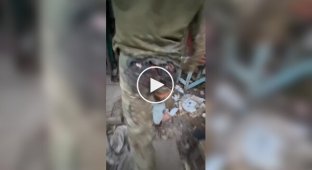 Раненый в зад оккупант хромает после эвакуации в укрытие