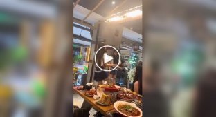 Красивое и удивительное (короткие видео). Выпуск 69