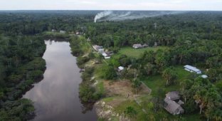 Scientists have discovered new microbes: they can greatly change the climate on our planet (4 photos)