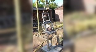 Kinetic sculpture: the art of movement and balance
