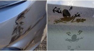 Marks on cars that owners would not want to see on their cars (14 photos)