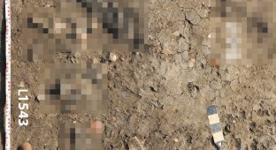 Pits with severed hands found in ancient Egyptian palace (4 photos)