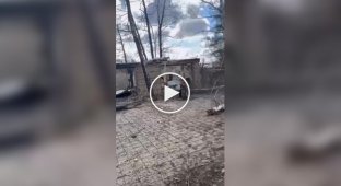 Оккупанты удивляются состоятельности дома в украинском селе