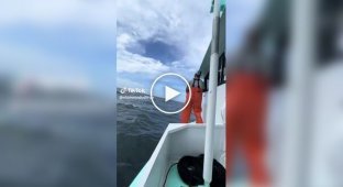 A fisherman noticed House floating in the middle of the sea