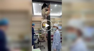 A Girl Climbed to the Ceiling Due to Dentophobia