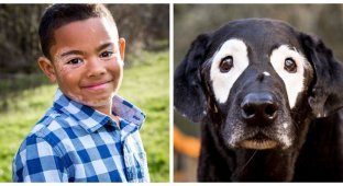 A four-legged friend helped a boy accept himself (8 photos)